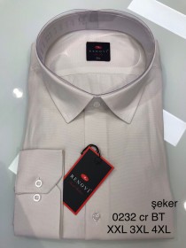 Мужская Рубашка Renovi (Большие размеры)