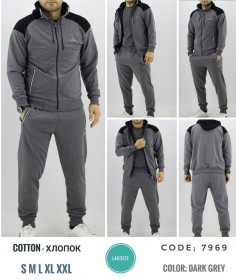 Мужской Спортивный Костюм Lacoste