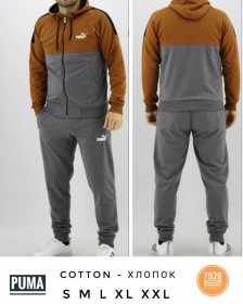 Мужской Спортивный Костюм Puma