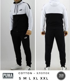 Мужской Спортивный Костюм Puma
