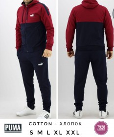 Мужской Спортивный Костюм Puma