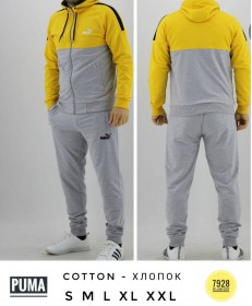 Мужской Спортивный Костюм Puma