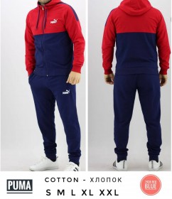 Мужской Спортивный Костюм Puma