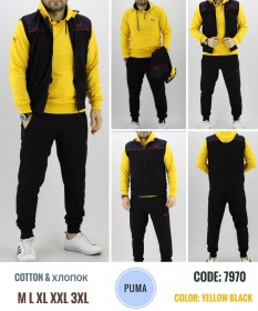 Мужской Спортивный Костюм Тройка Puma