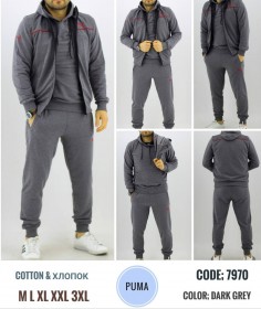 Мужской Спортивный Костюм Тройка Puma
