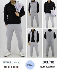 Мужской Спортивный Костюм Тройка Puma