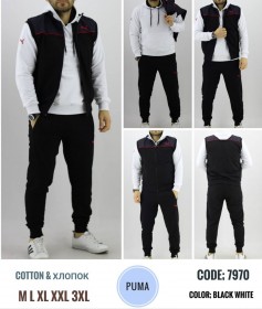 Мужской Спортивный Костюм Тройка Puma