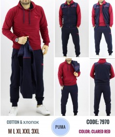 Мужской Спортивный Костюм Тройка Puma
