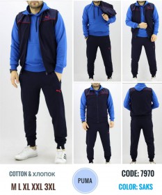 Мужской Спортивный Костюм Тройка Puma