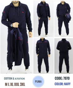 Мужской Спортивный Костюм Тройка Puma