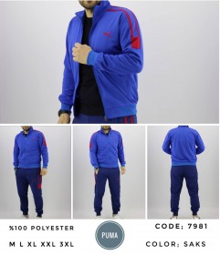 Мужской Спортивный Костюм Тройка Puma