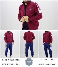 Мужской Спортивный Костюм Puma