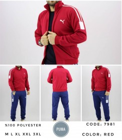 Мужской Спортивный Костюм Puma