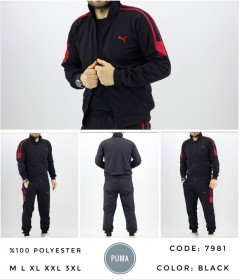 Мужской Спортивный Костюм Puma