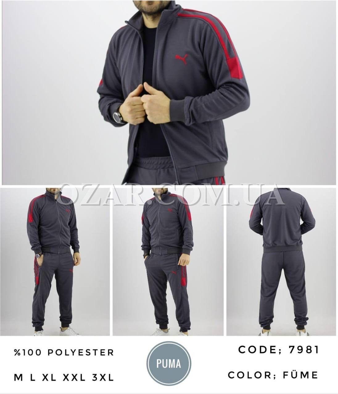 Мужской Спортивный Костюм Puma