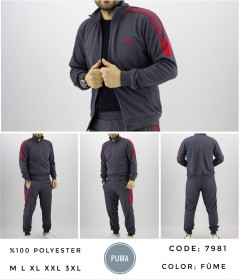 Мужской Спортивный Костюм Puma