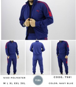 Мужской Спортивный Костюм Puma