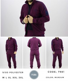 Мужской Спортивный Костюм Puma
