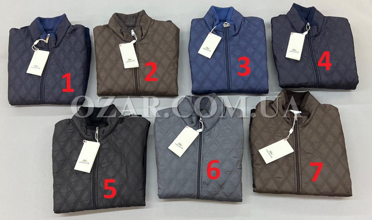 Мужская Мастерка Lacoste