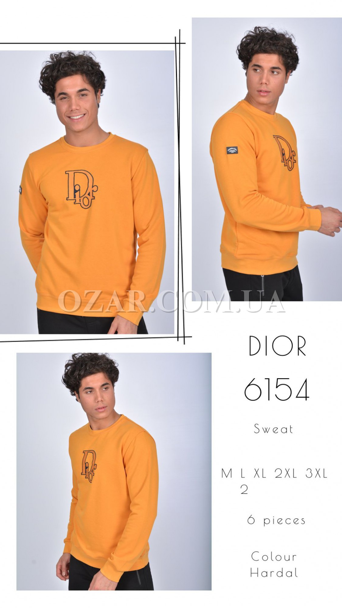 Мужской Свитшот Dior