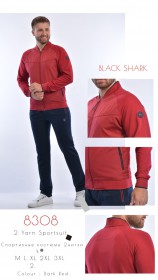 Мужской Спортивный Костюм Black&Shark