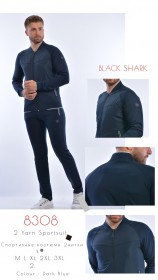 Мужской Спортивный Костюм Black&Shark