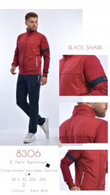 Мужской Спортивный Костюм Black&Shark