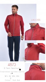 Мужской Спортивный Костюм Lacoste