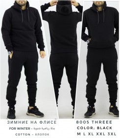 Утеплённый Мужской Спортивный Костюм TREE