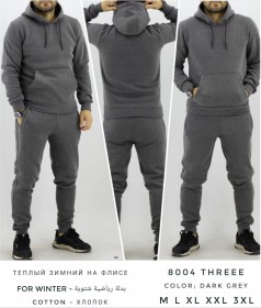 Утеплённый Мужской Спортивный Костюм TREE