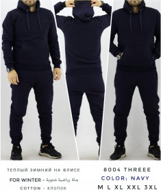 Утеплённый Мужской Спортивный Костюм TREE