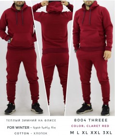 Утеплённый Мужской Спортивный Костюм TREE