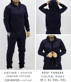 Утеплённый Мужской Спортивный Костюм TREE