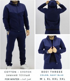 Утеплённый Мужской Спортивный Костюм TREE