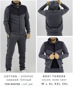 Утеплённый Мужской Спортивный Костюм TREE