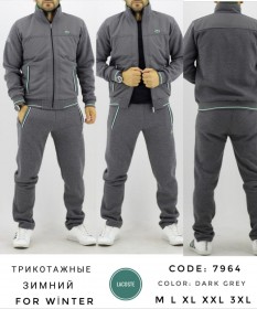 Утеплённый Мужской Спортивный Костюм Lacoste