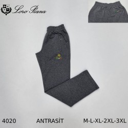 Мужские Спортивные Штаны Loro Piana