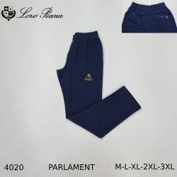 Мужские Спортивные Штаны Loro Piana