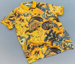 Мужская Футболка Etro