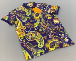 Мужская Футболка Etro