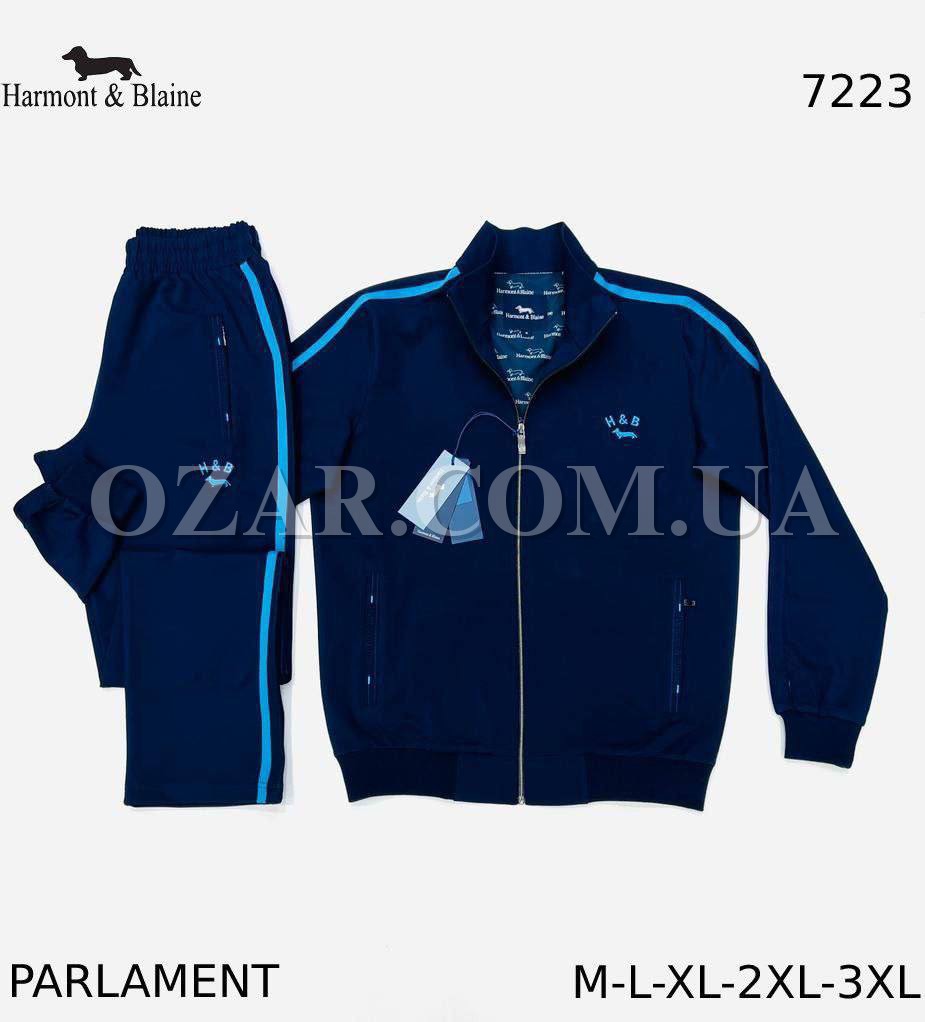 Мужской Спортивный Костюм Harmont&Blaine