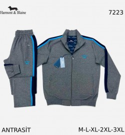 Мужской Спортивный Костюм Harmont&Blaine