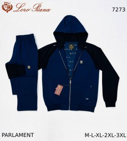 Мужской Спортивный Костюм Loro Piana