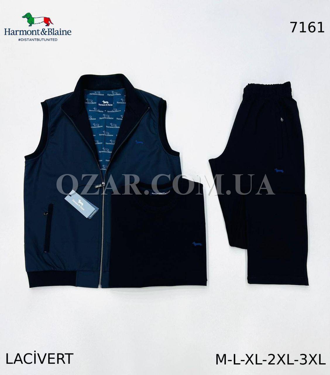 Мужской Спортивный Костюм Тройка Harmont&Blaine