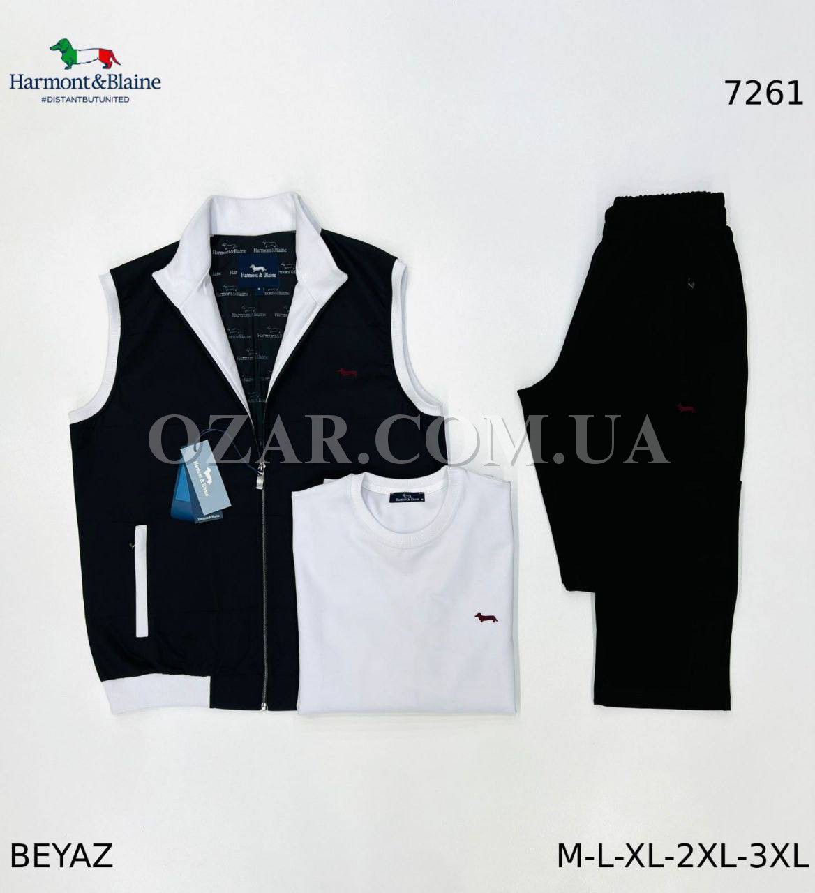 Мужской Спортивный Костюм Тройка Harmont&Blaine