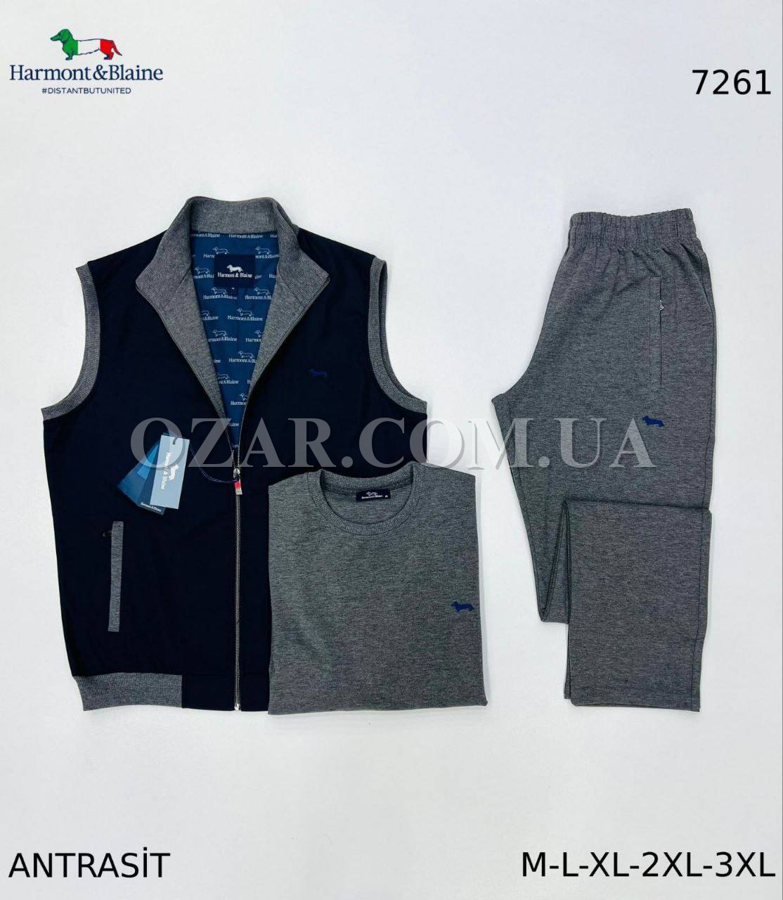 Мужской Спортивный Костюм Тройка Harmont&Blaine