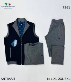 Мужской Спортивный Костюм Тройка Harmont&Blaine