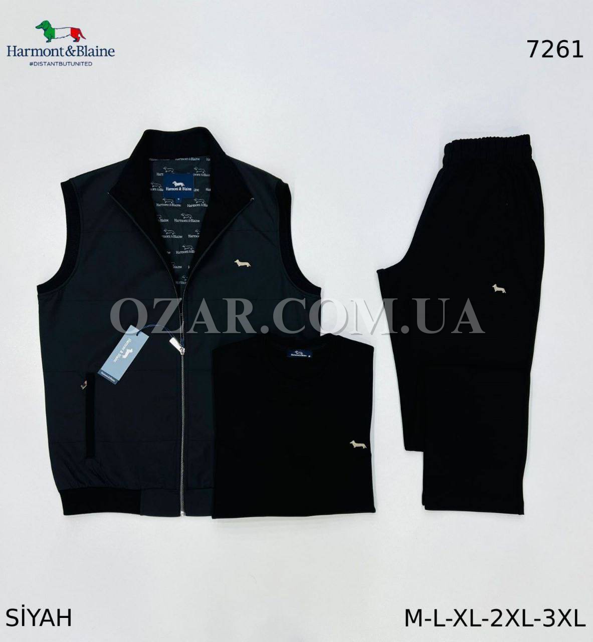 Мужской Спортивный Костюм Тройка Harmont&Blaine