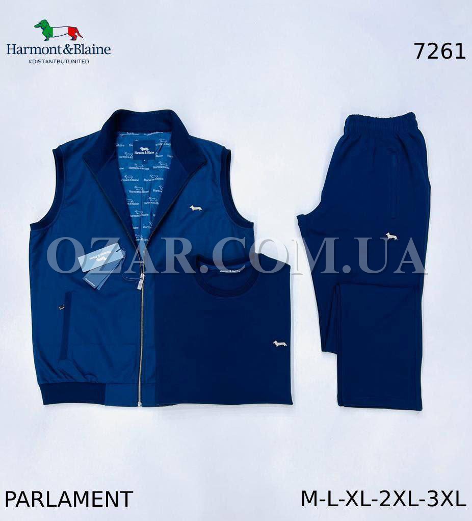 Мужской Спортивный Костюм Тройка Harmont&Blaine
