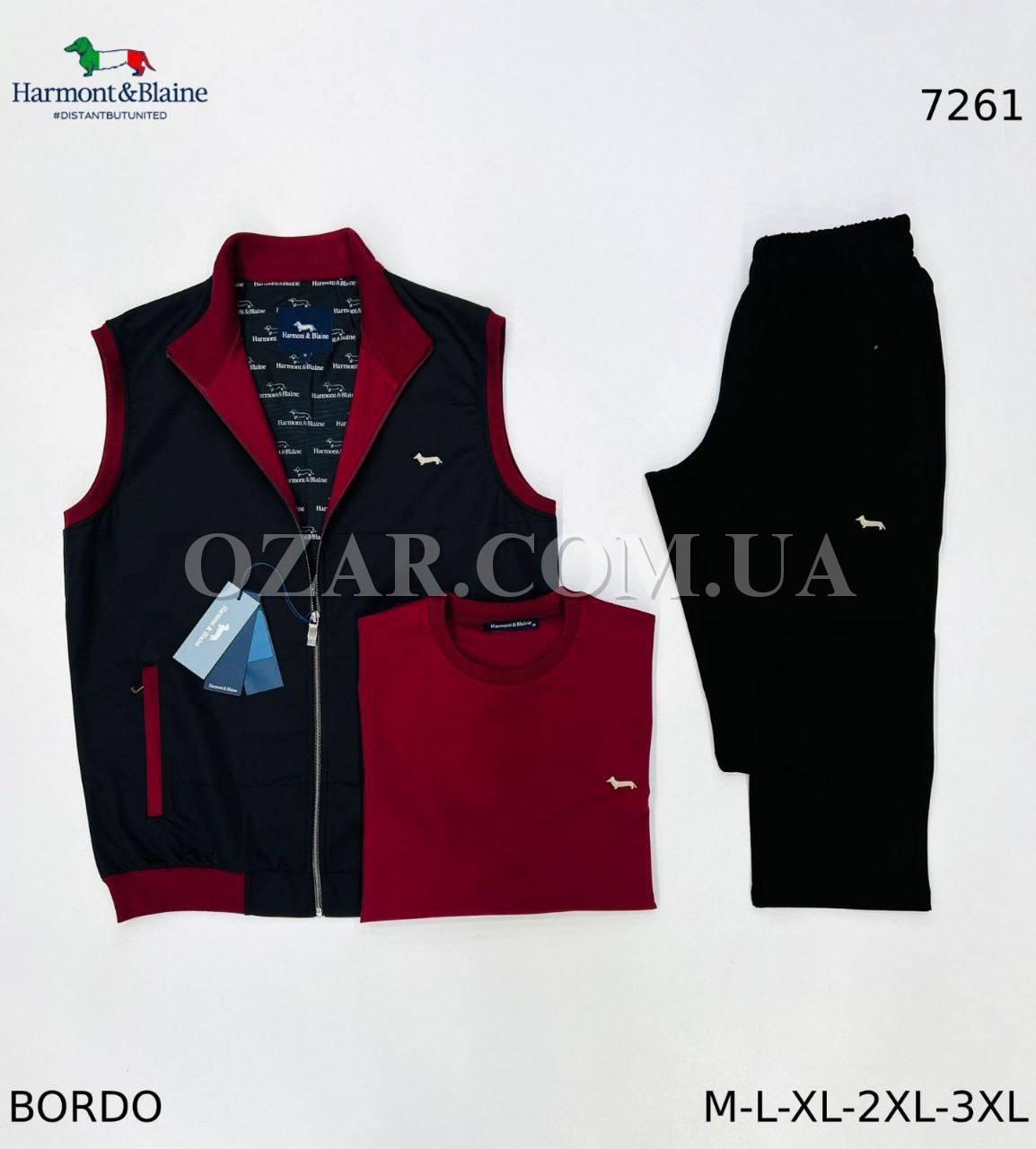 Мужской Спортивный Костюм Тройка Harmont&Blaine